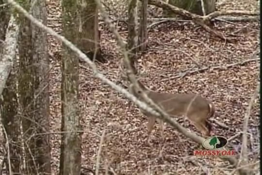 Hang On • Bowhunting for Whitetails in Southern Texas