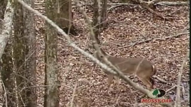 Hang On • Bowhunting for Whitetails i...