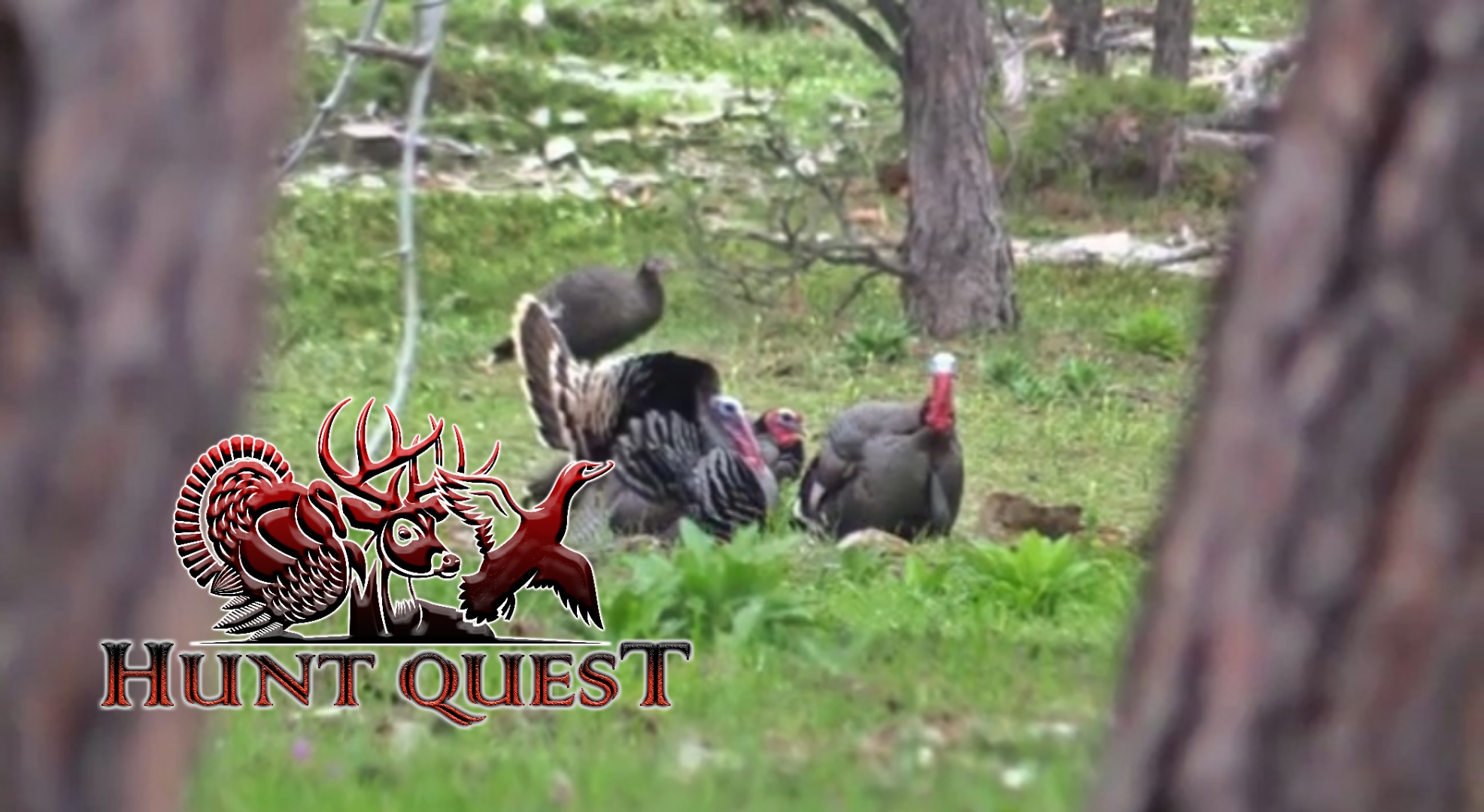 South Dakota Merriams Part 1 • Hunt Quest