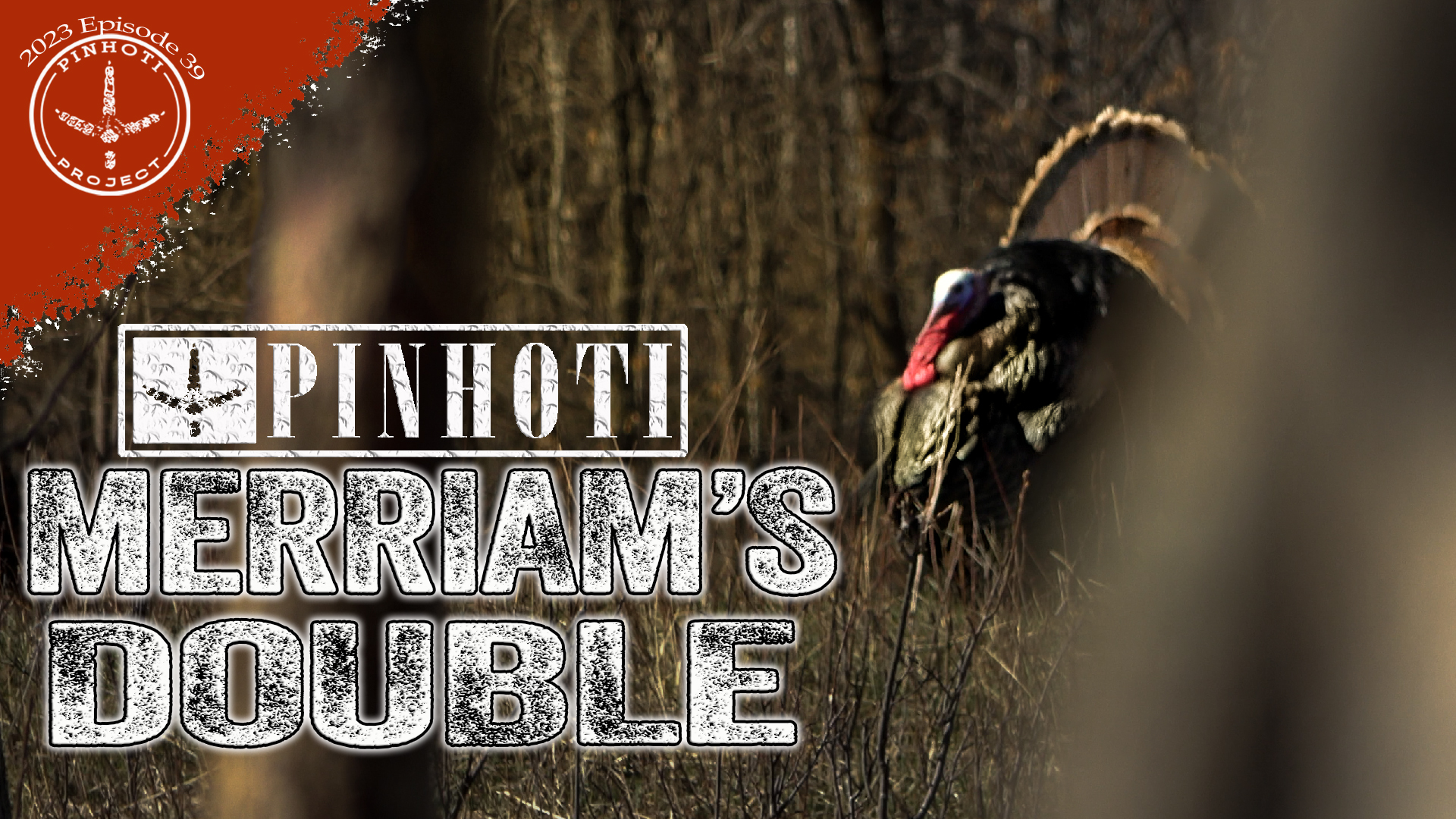 Pinhoti 2023 Ep 39 • Pinhoti Project