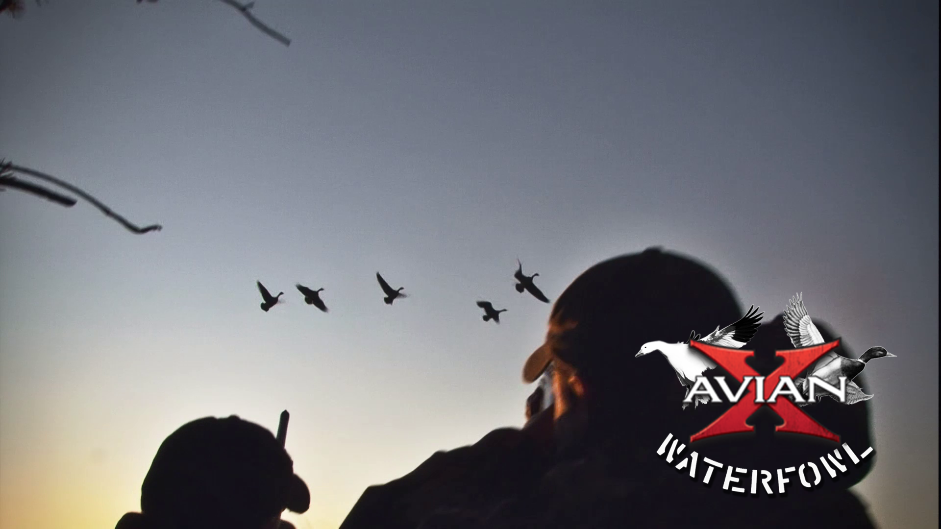 Quebec Snows • Avian X Waterfowl