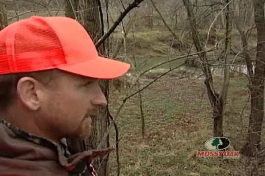 Riding the Pine • Never Forget Where You Came From