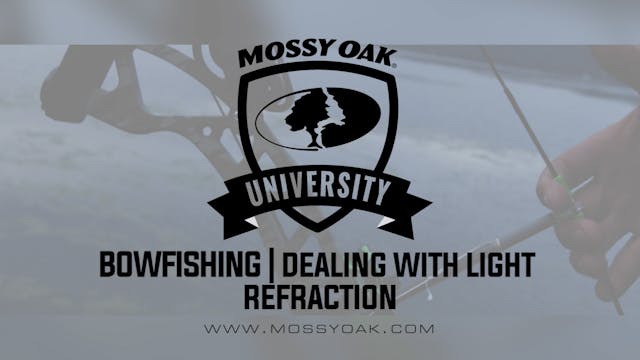Bow Fishing - Light Refraction • Moss...