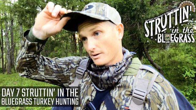  Day 7 Struttin In The Bluegrass Turkey Hunting • Struttin' in the Bluegrass