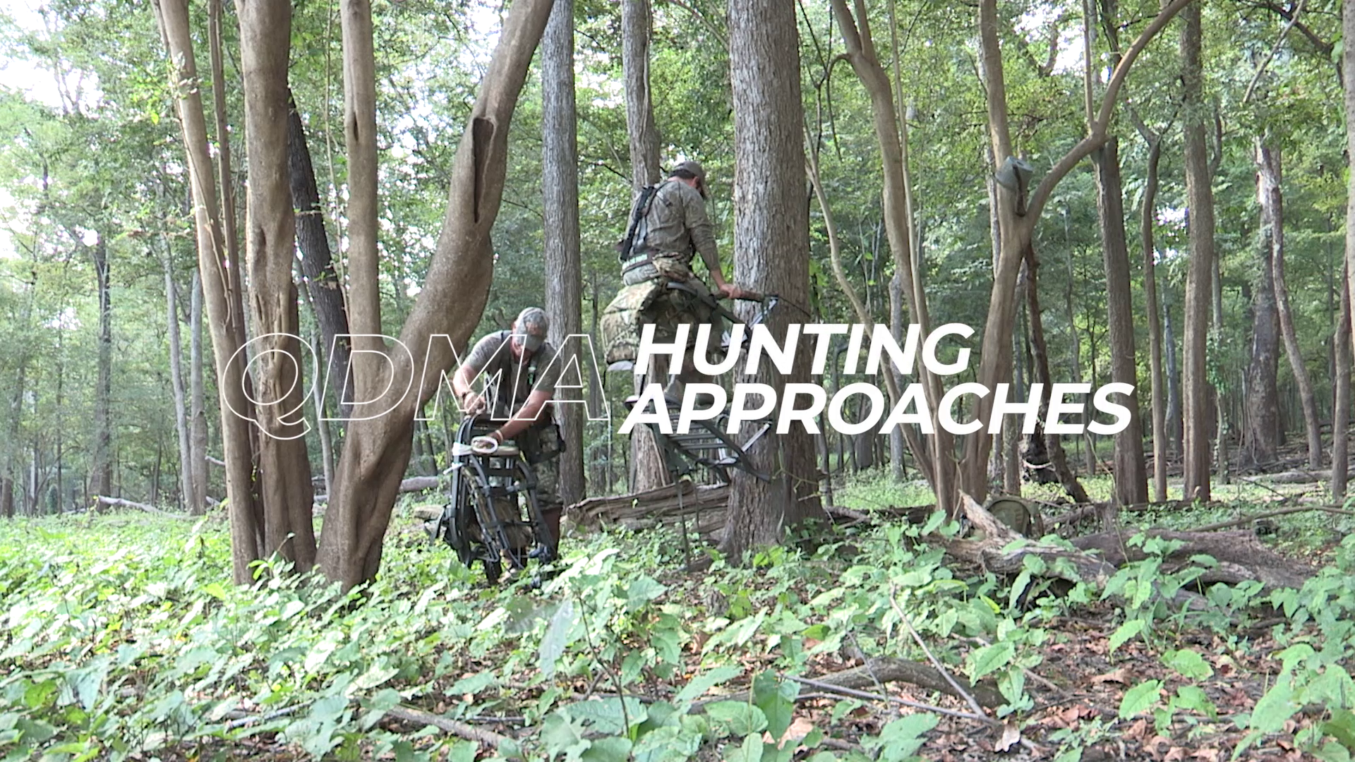 Hunter Behavior In the Field