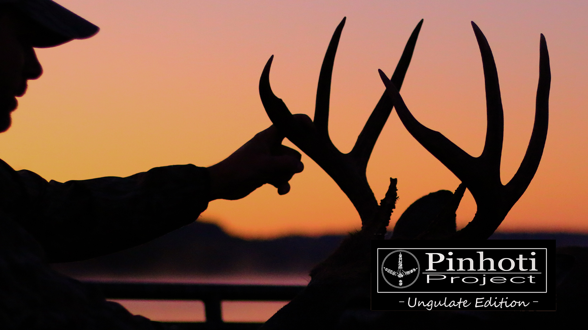 Ungulate Edition Ep1 • Pinhoti Project