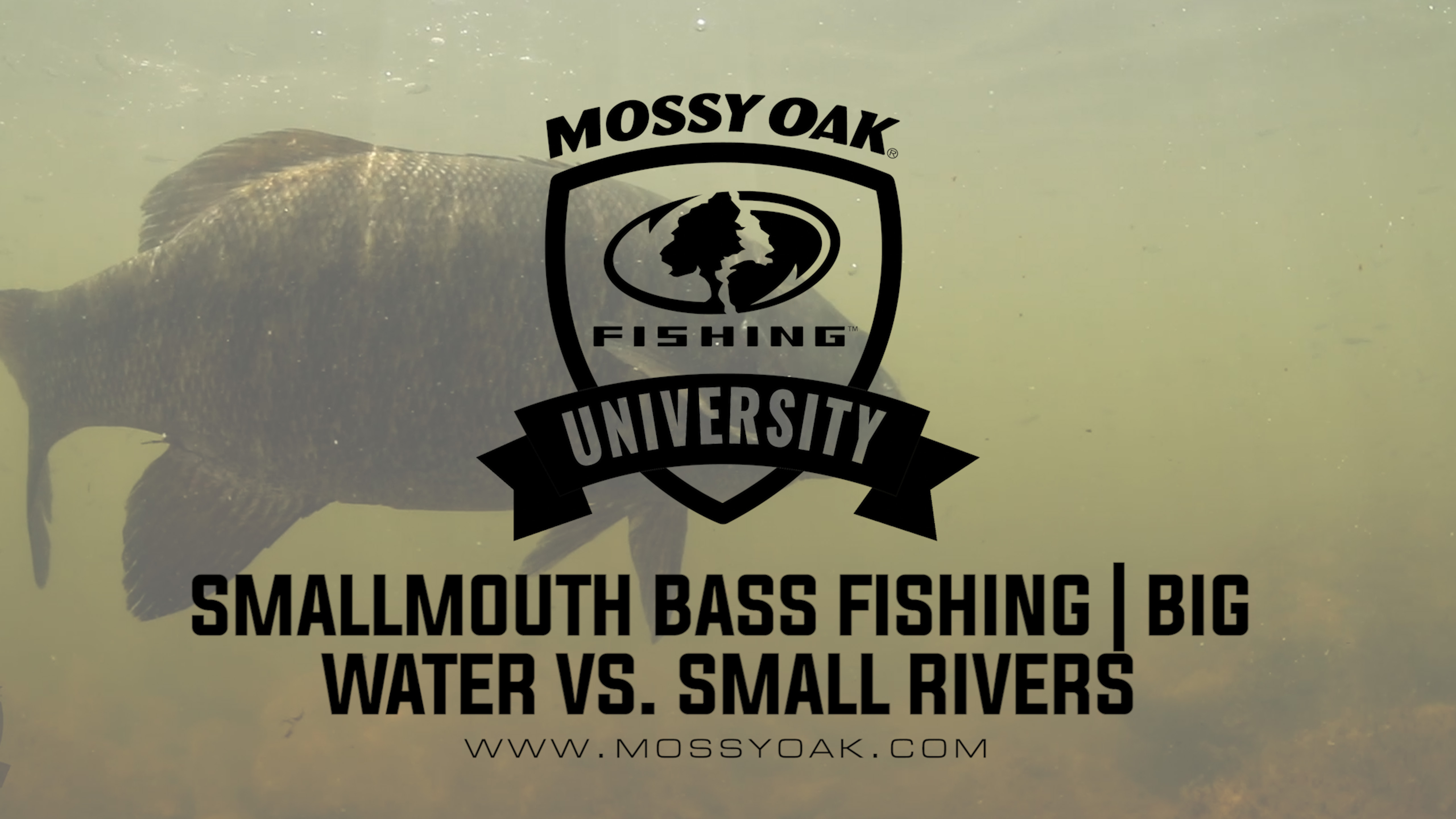 Smallmouth Bass Fishing • Big Water Vs Small Rivers