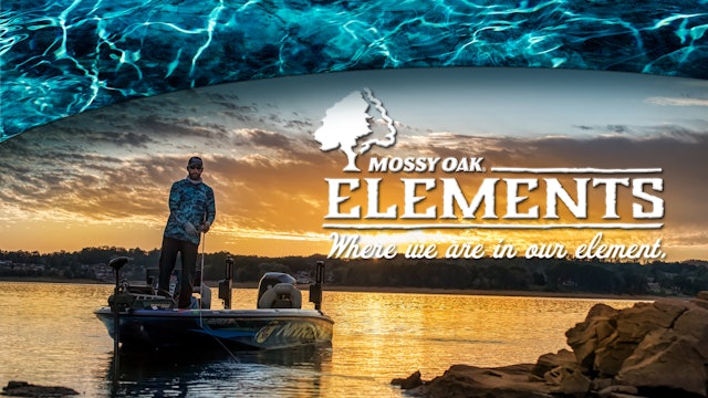 Elements - Mossy Oak GO