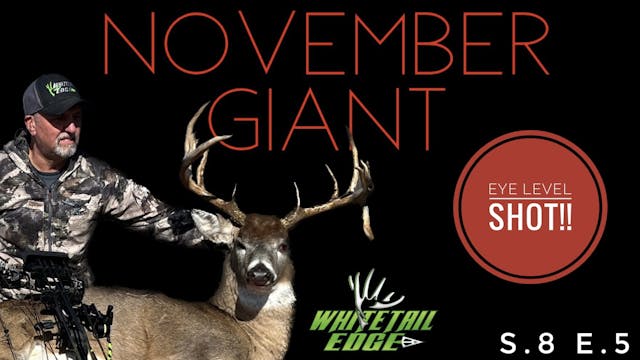 November Giant • Whitetail Edge