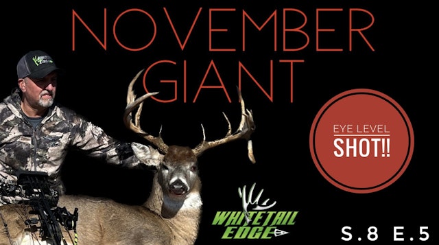 November Giant • Whitetail Edge