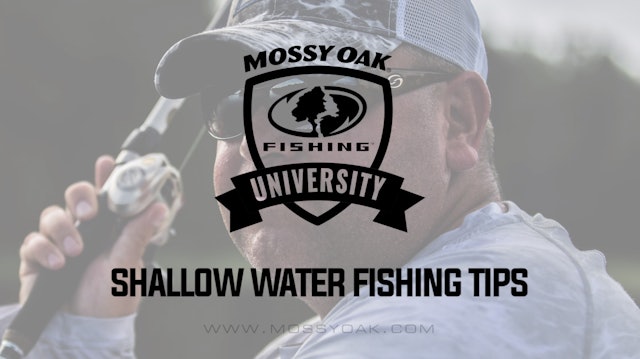 Shallow Water Bass Fishing Tips
