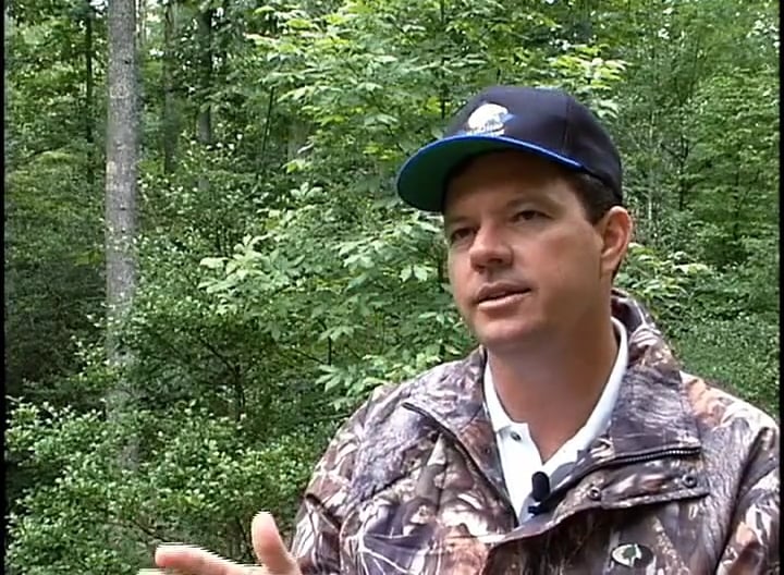 One More Hill • Turkeys in Mississippi