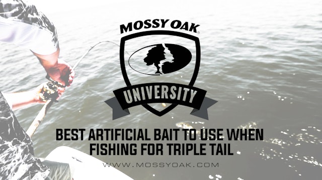 Saltwater Fishing • Mossy Oak University - Mossy Oak GO