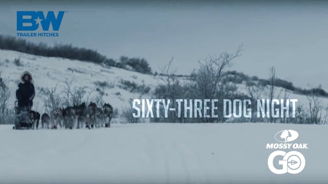 Sixty-Three Dog Night • B&W