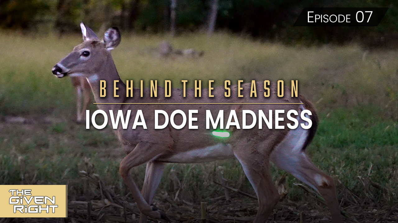 Iowa Doe Madness • Behind the Season