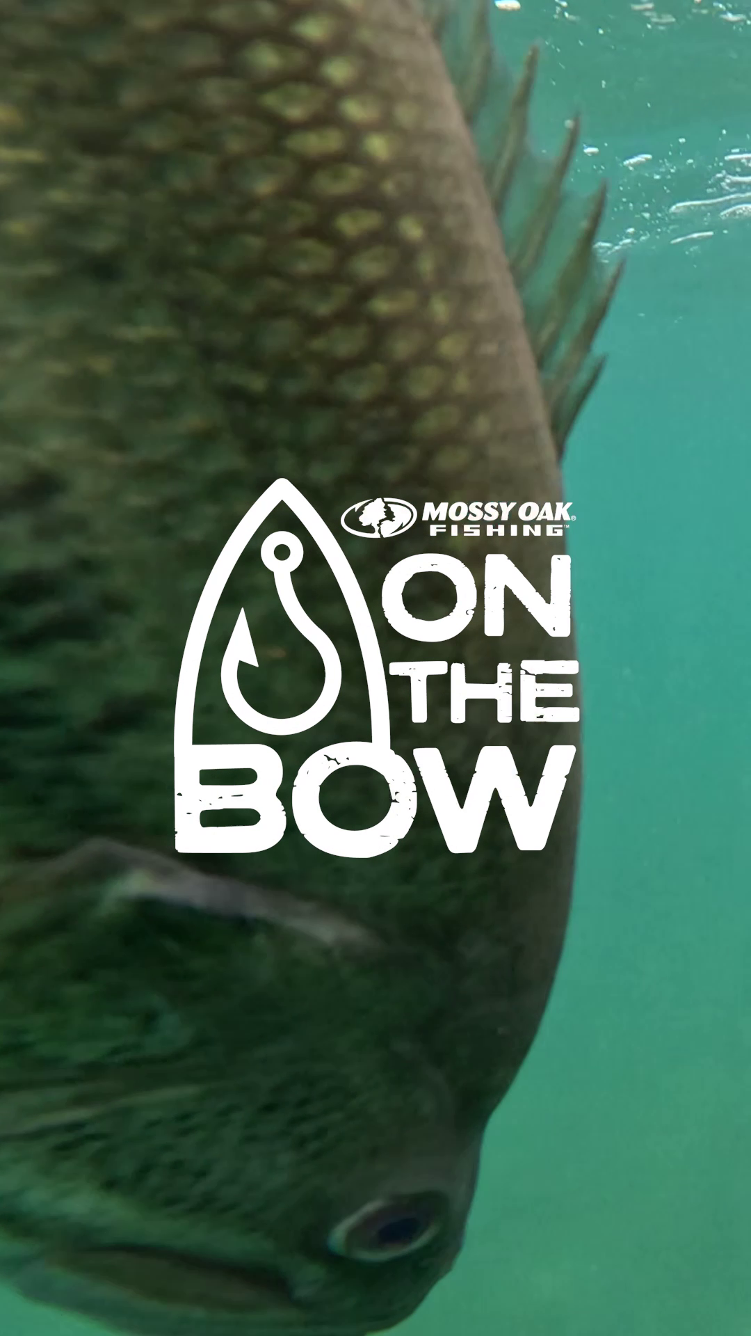 On the Bow with Kevin VanDam • Spring Fishing Gear