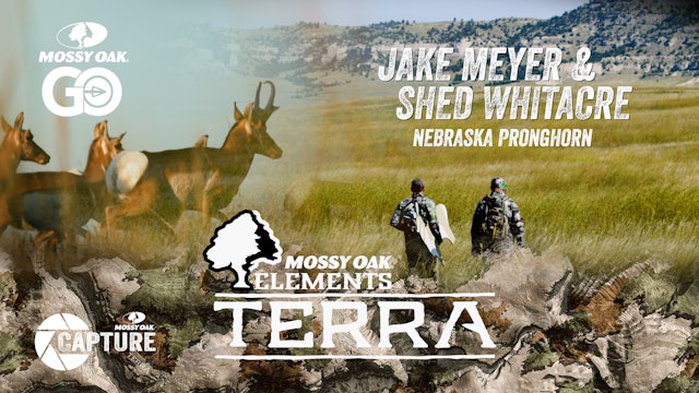 Jake and Shed – Nebraska Pronghorn • Terra