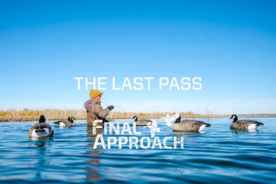 Last Pass Episode 2 • The Cold Colora...