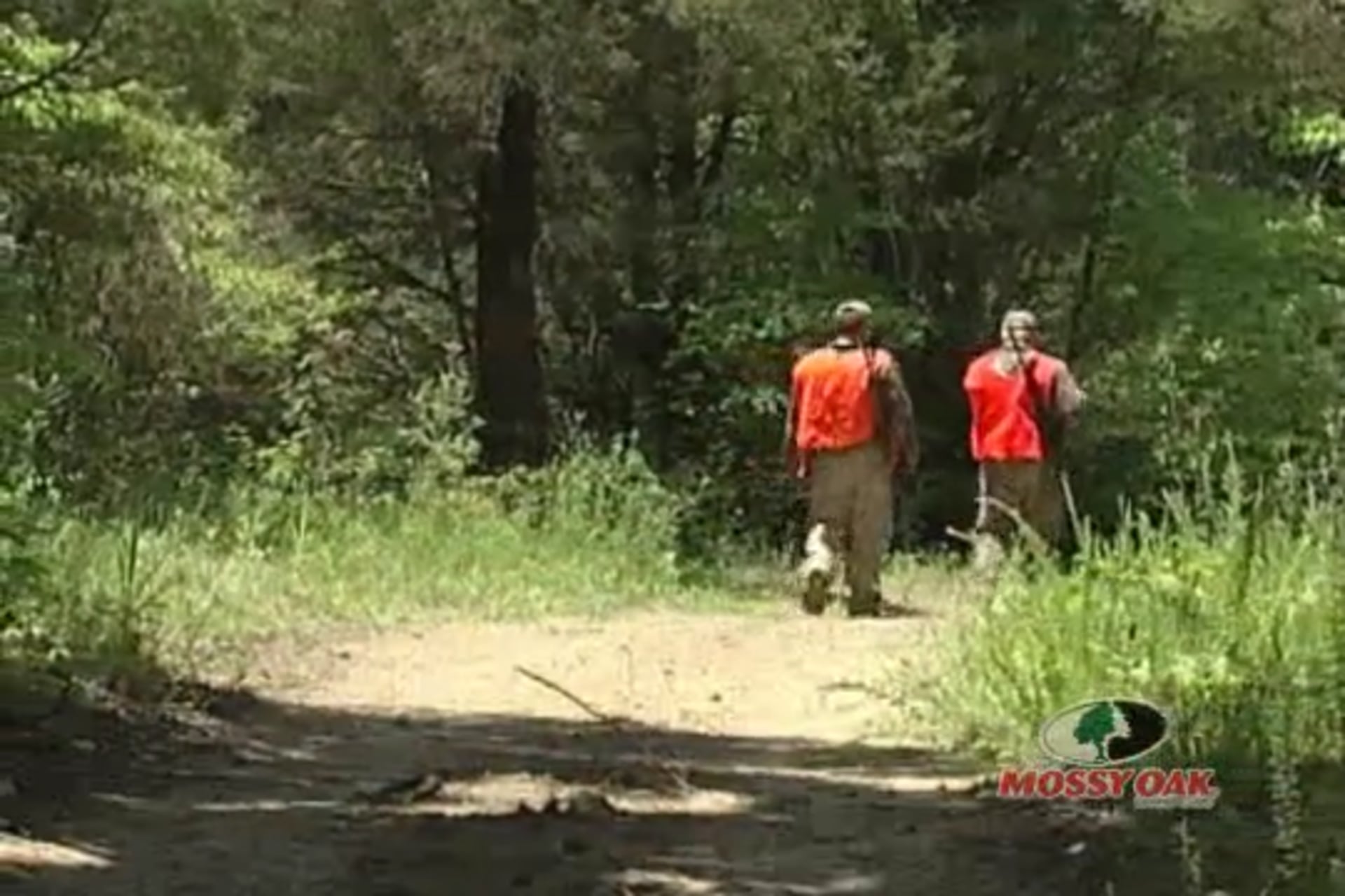 Alabama Buck Bonanza • Whitetail Deer in the Deep South