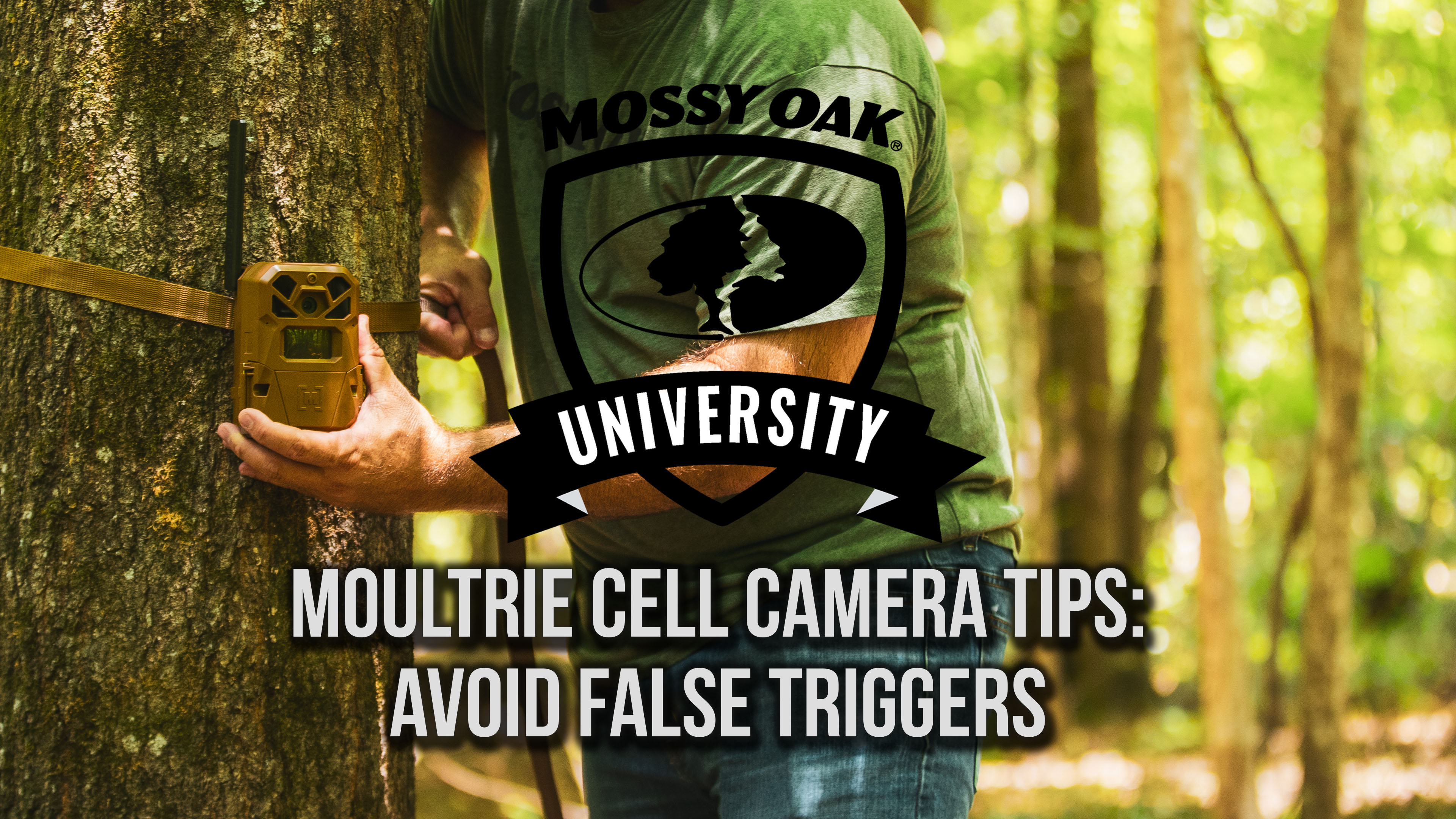 Tips to Avoid False Triggers on Moultrie Trail Cameras