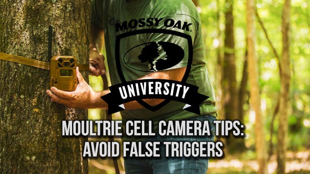 Tips to Avoid False Triggers on Moult...