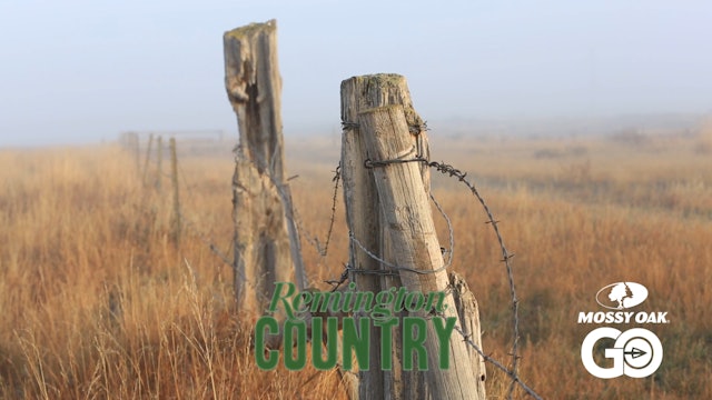 Big Sky Deer • Remington Country