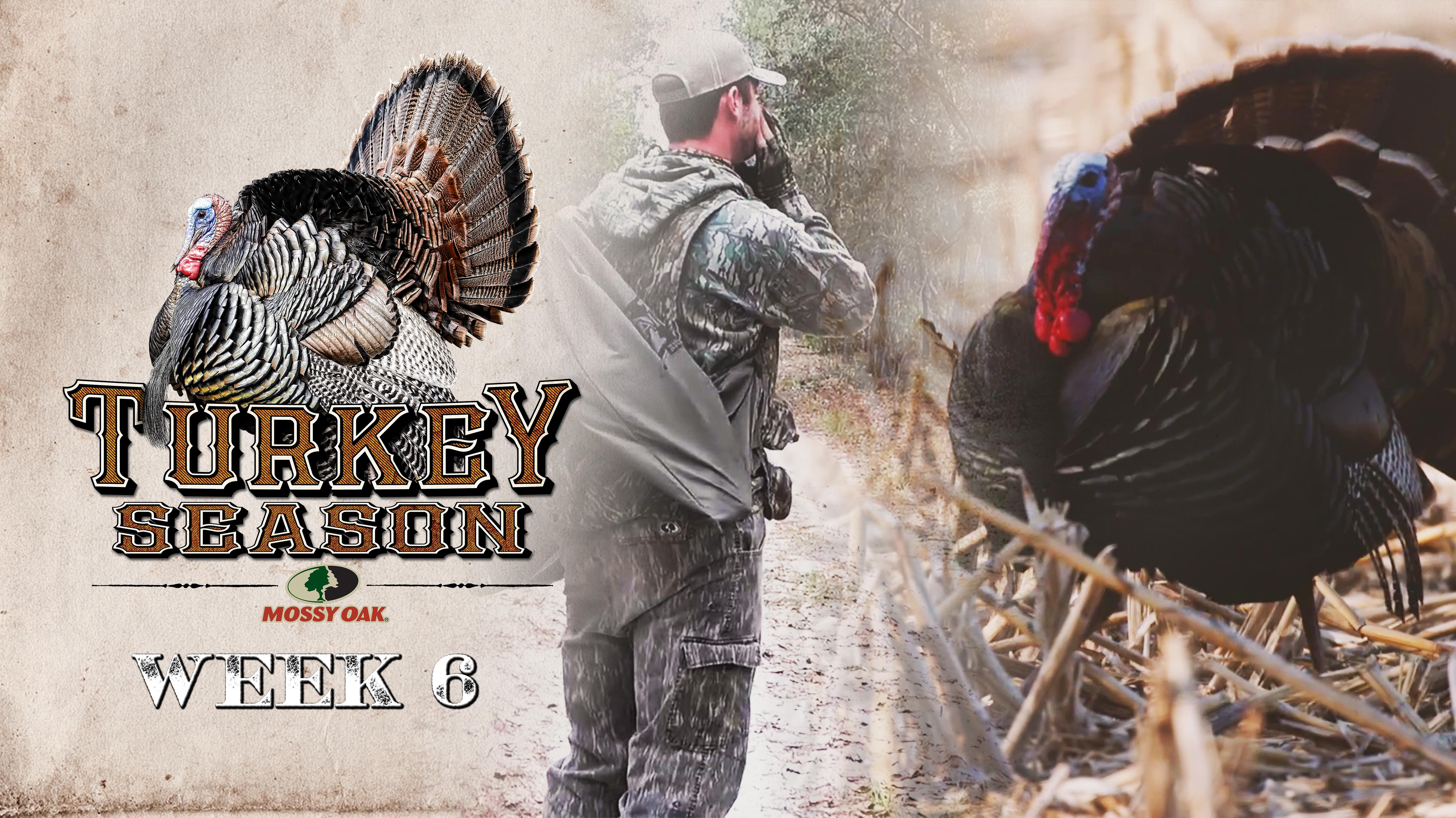 Live: 4.19.2021 Turkey Season Replay