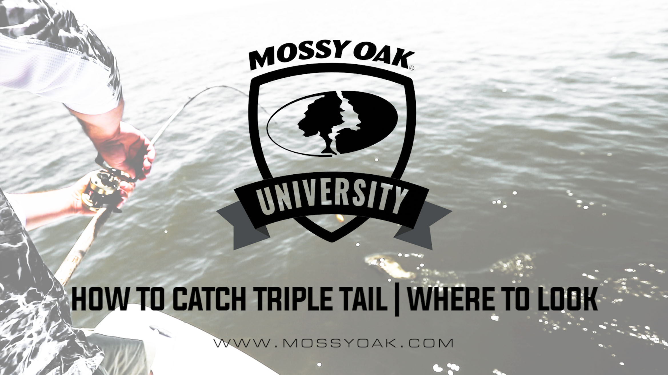 How To Catch Tripletail • Where to Look