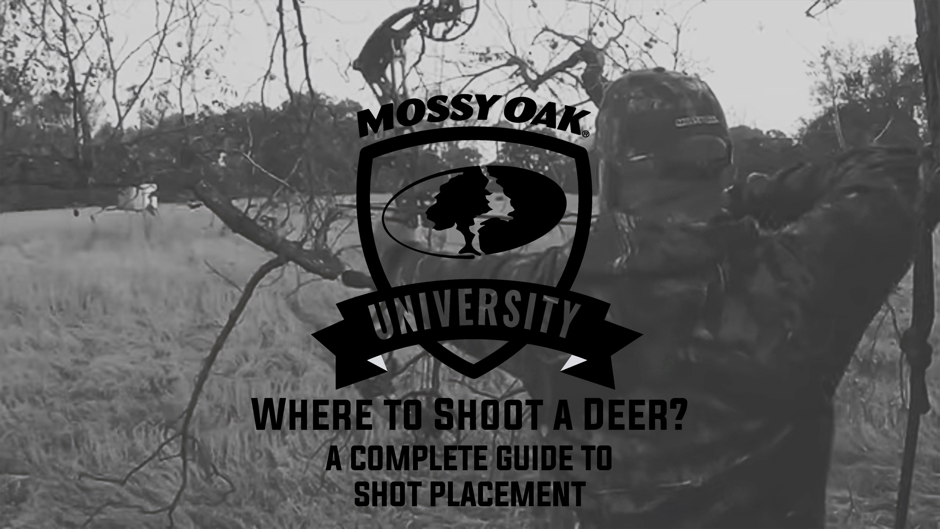 Where to Shoot a Deer? • A Guide to Shot Placement  • Mossy Oak University
