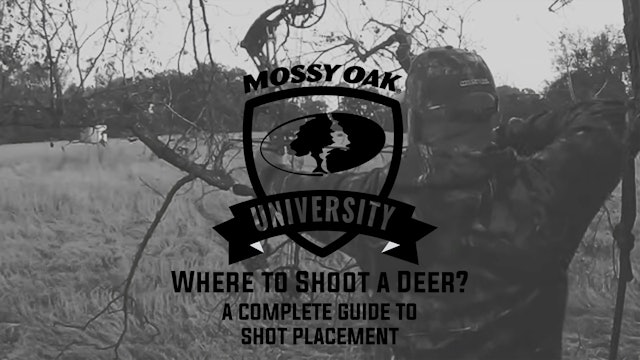 Where to Shoot a Deer? • A Guide to Shot Placement  • Mossy Oak University