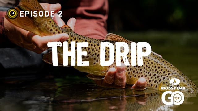 Episode 2 • The Drip