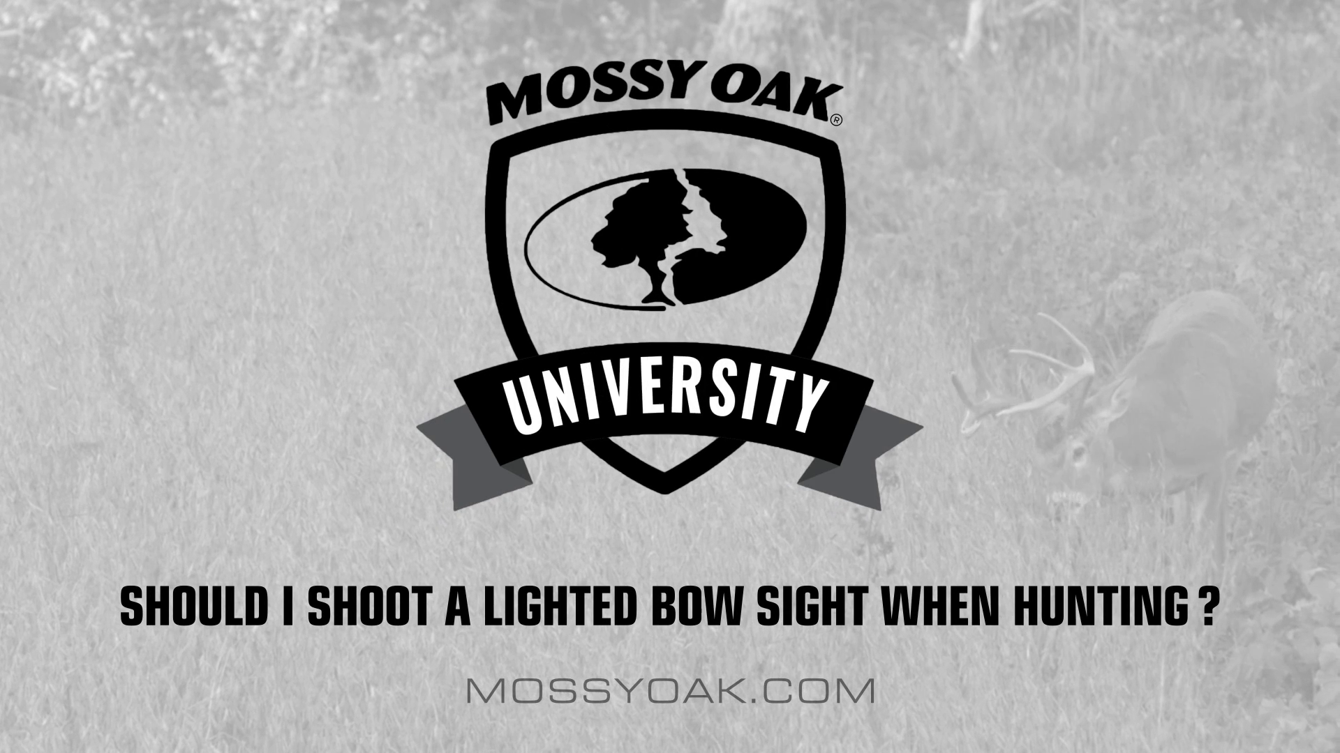 Should I Use a Lighted Sight • Mossy Oak University
