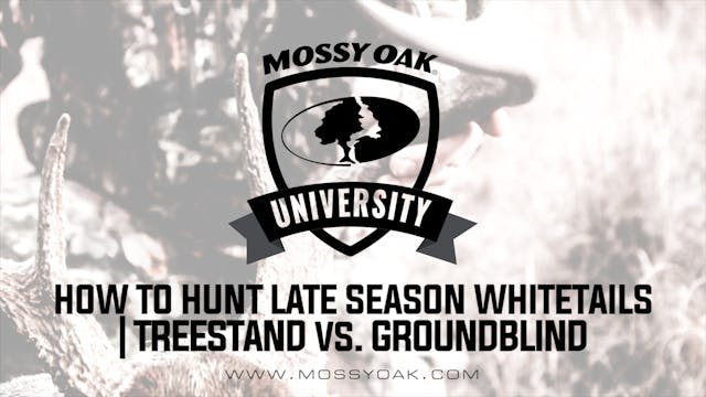 How To Hunt Late Season Whitetails • ...