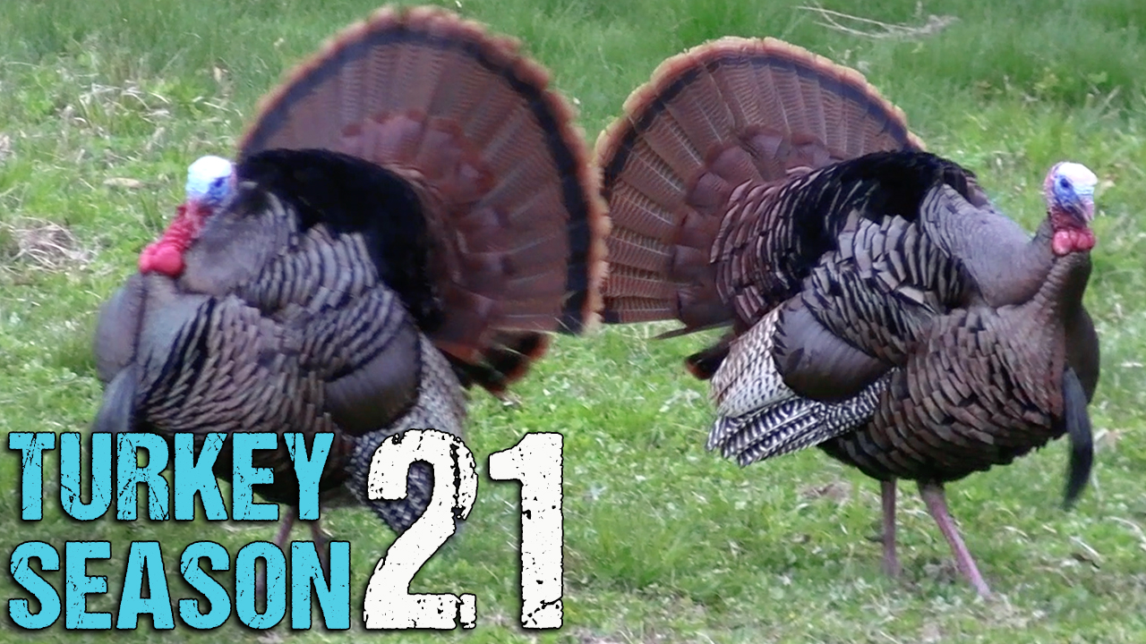 Turkey Season 2021 • First Gobbler Taken on This Field! • Drury Outdoors