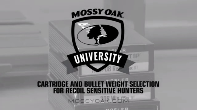 Selecting Rifle & Bullet Combination for Less Recoil