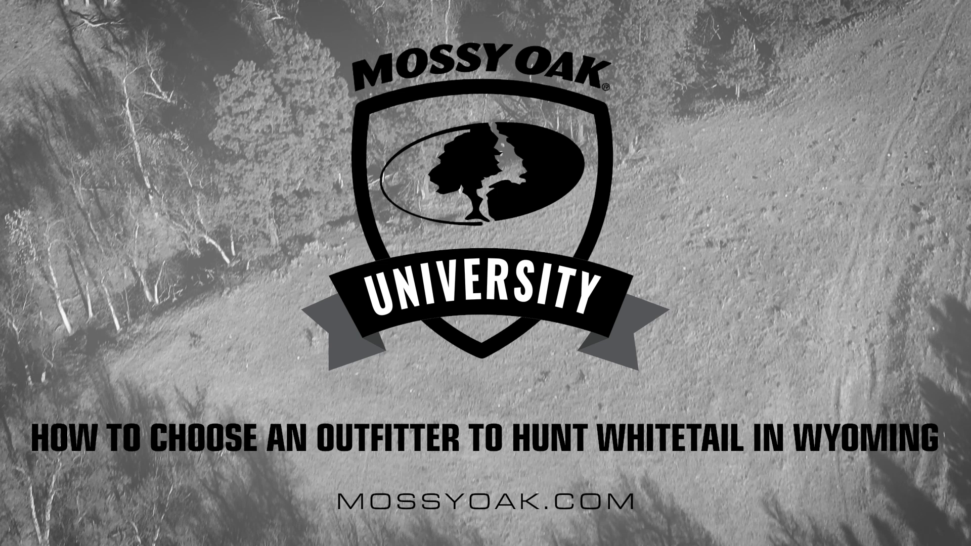 How to Choose an Oufitter to Hunt Whitetail in Wyoming