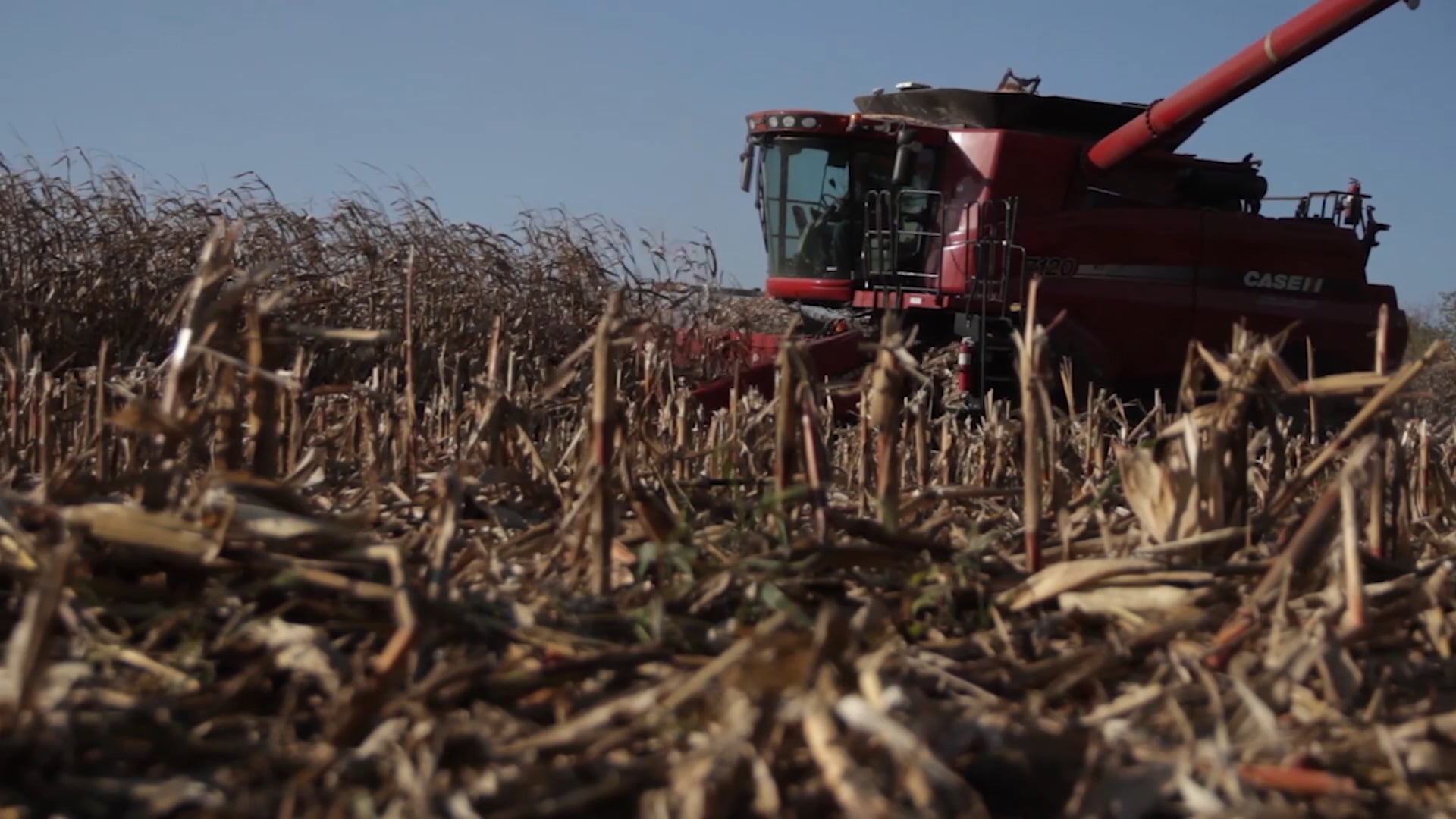 Early Off-Season Prep with Mark Drury • 100% Wild Podcast