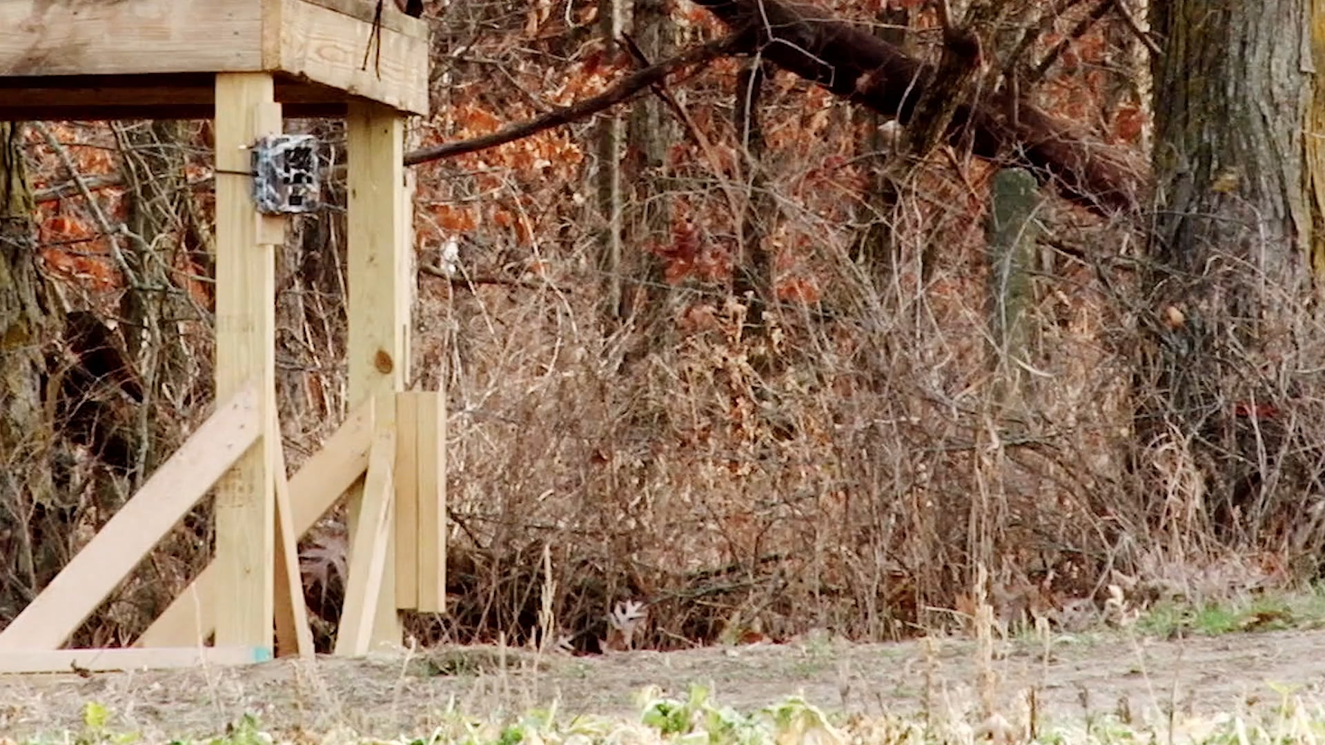 A Long Time In The Making • NBK Episode 13 S8