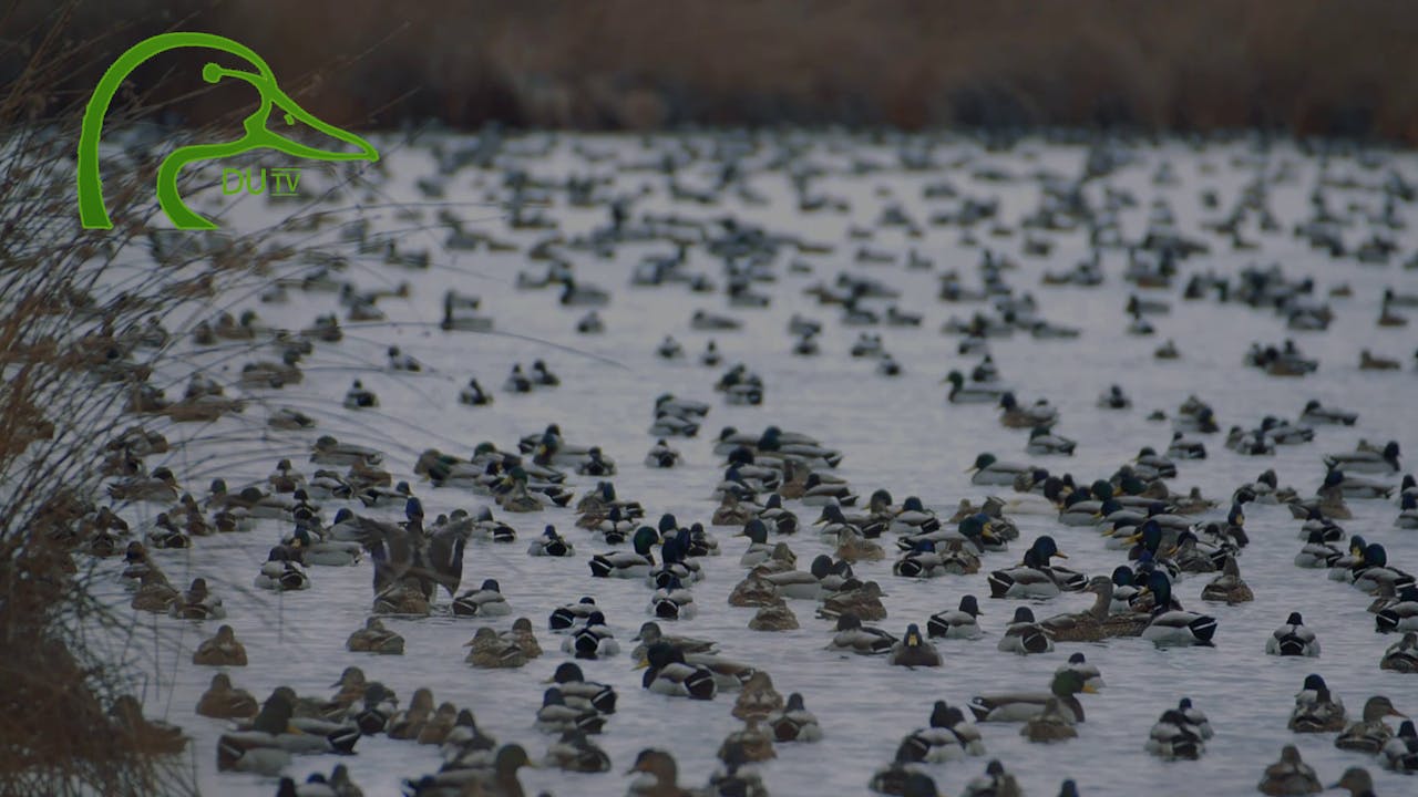 Paducah Kentucky Higdon Farms • DU TV Season 1 Mossy Oak GO