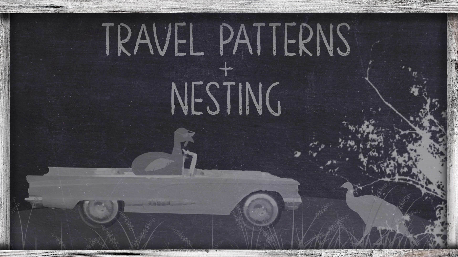 OnX Turkey Academy • Lesson 10 | Travel Patterns + Nesting