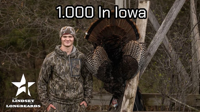 Batting .1000 In Iowa • Lindsey Way Longbeards