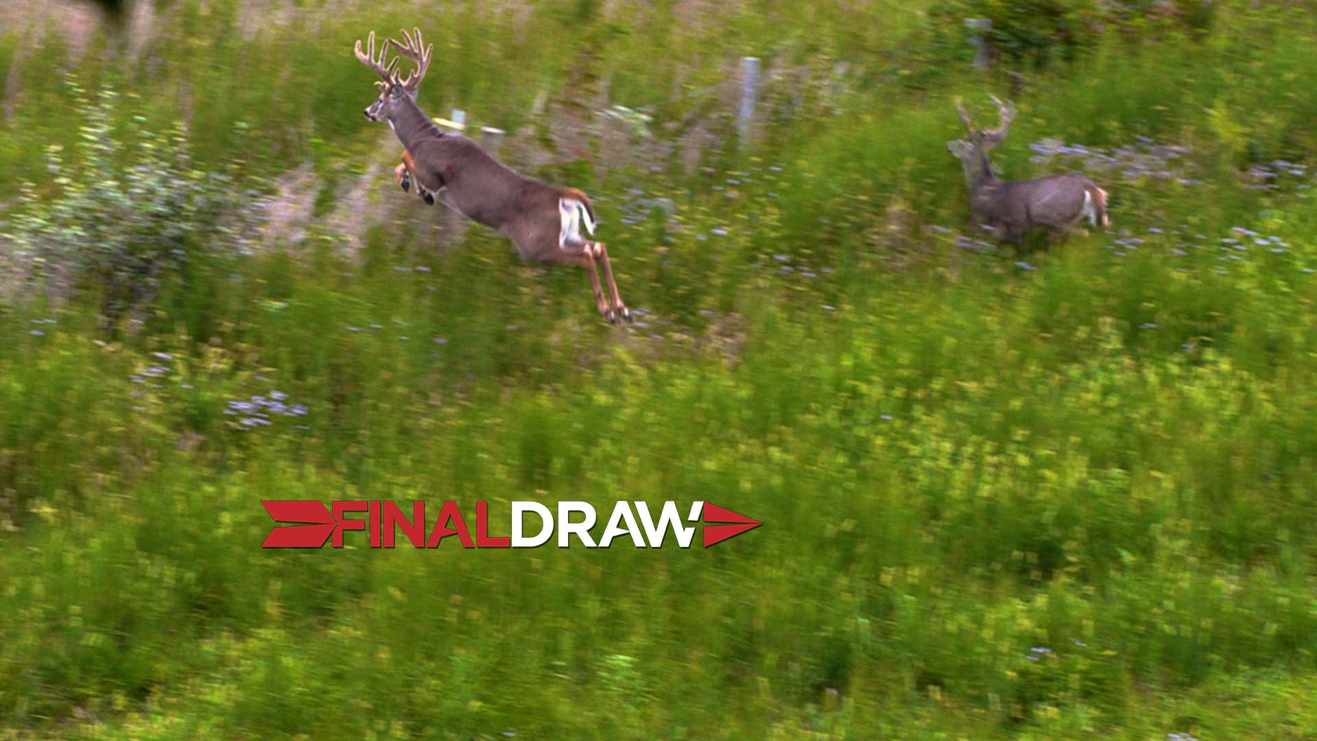 Kentucky Opener • Final Draw