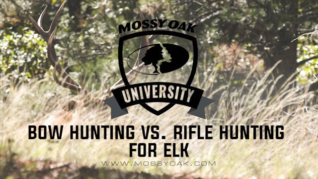 Bowhunting v. Rifle Hunting for Elk