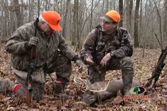 Green Dreams • Hunting a Biologic Food Plot