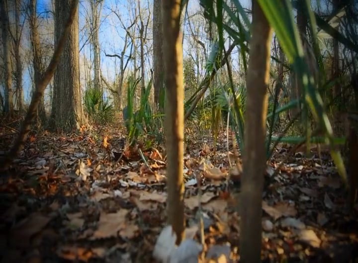 G.I. Janes, Part 1 • Big Bucks in Mississippi