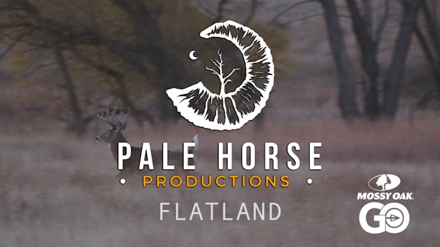Flatland • Pale Horse