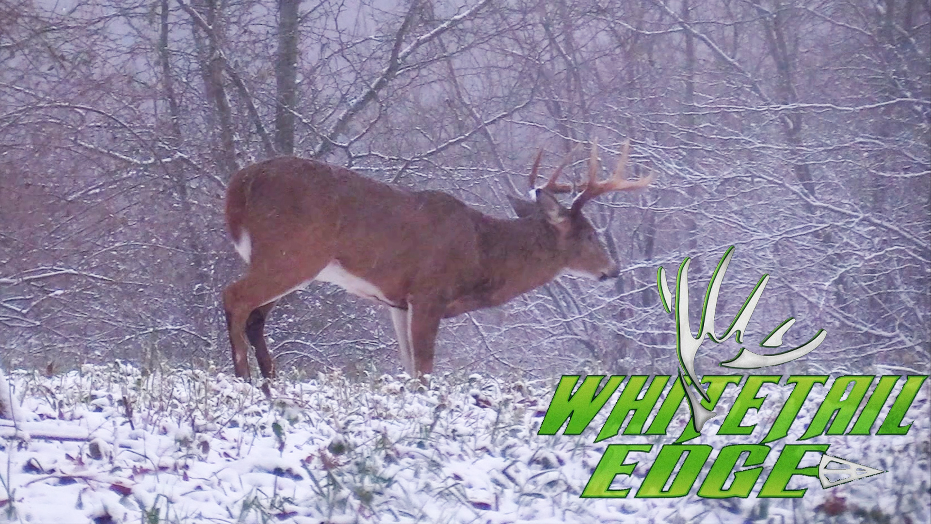 Lazy 10 • Whitetail Edge