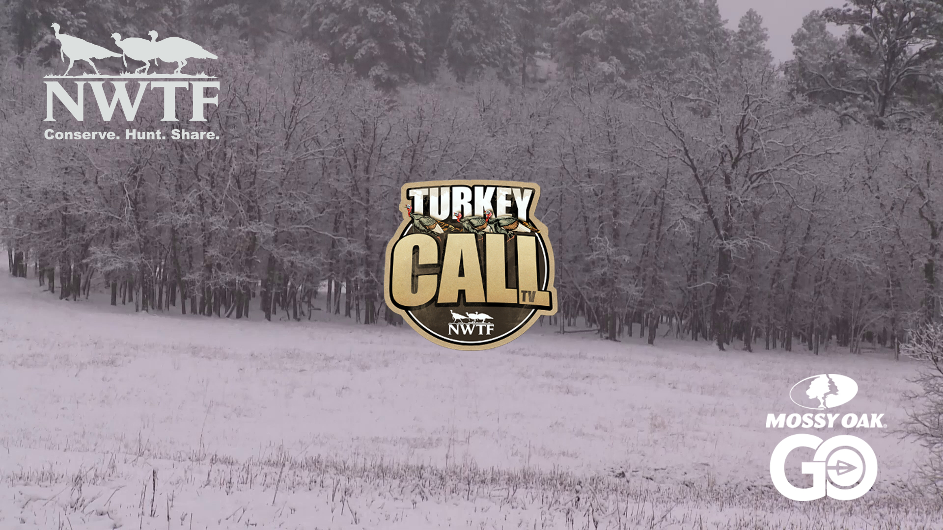 The Late Snow • NWTF