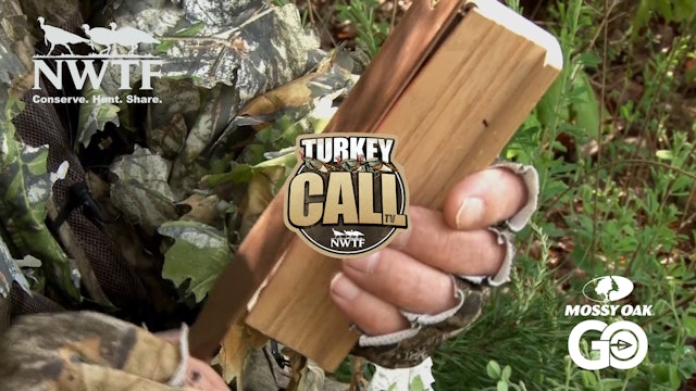 NWTF's  Turkey Call
