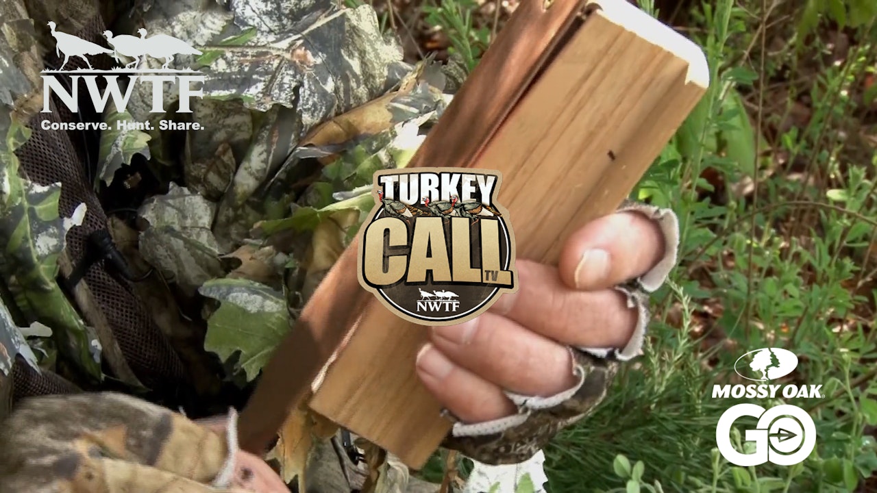 NWTF's  Turkey Call